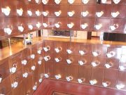 ベビーフェイスプラネッツ 東生駒店