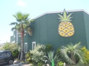 ALOHA CAFE Pineapple