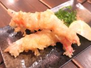 cafe terrace kikinomori