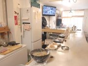 立ち飲み 446 時々 FLY