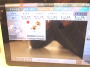 かっぱ寿司 奈良二名店