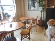 コンフォートコマ