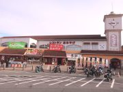 人類みな針テラス