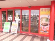 人類みな針テラス